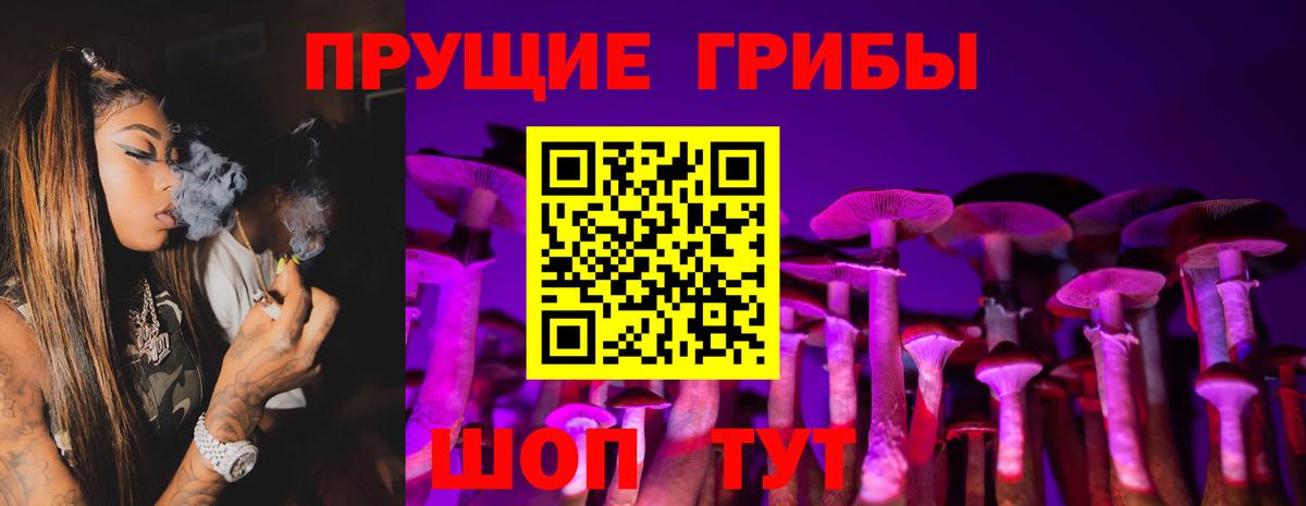 Галлюциногенные грибы Magic Shrooms  Вход с VPN  Ефремов  Псилоцибиновые грибы Magic Shrooms 